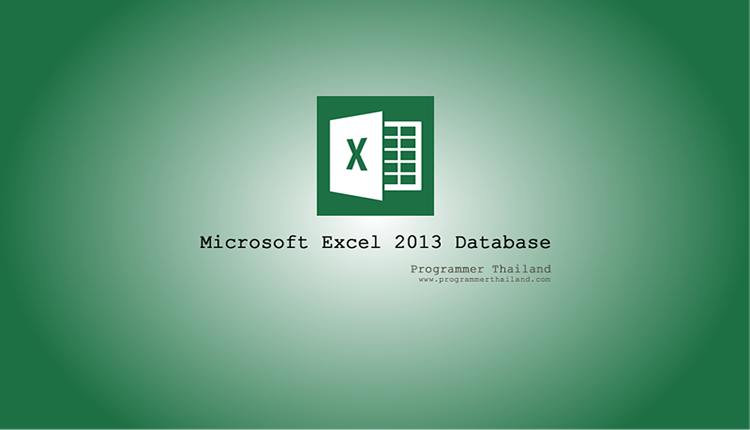 การสร้าง Application ด้วย Microsoft Excel 2013 ฉบับฐานข้อมูล Excel